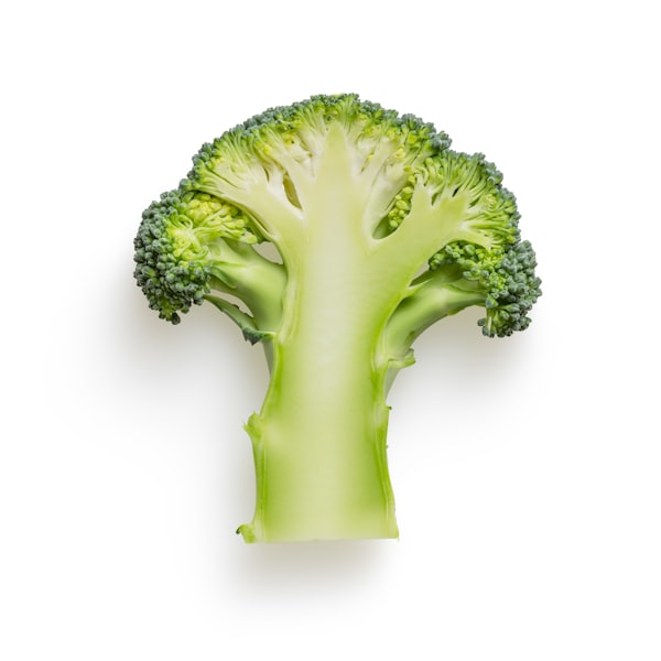 Sesame Seeds